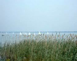 Spiaggia I Canneti